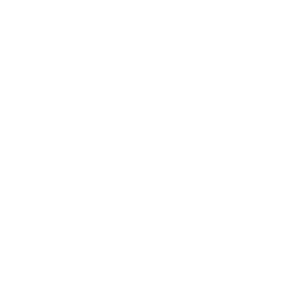 FORM Mirrors™ logo